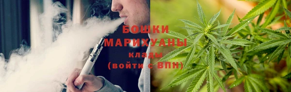 ПСИЛОЦИБИНОВЫЕ ГРИБЫ Алексеевка