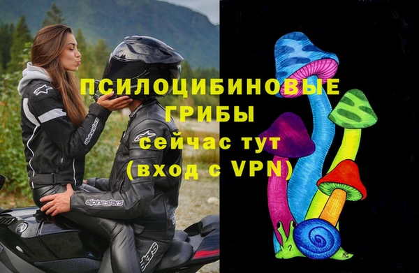 ешки Алзамай