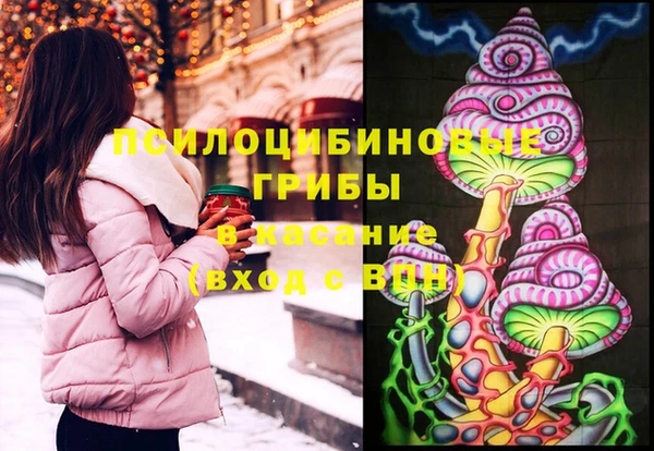 а пвп мука Абаза