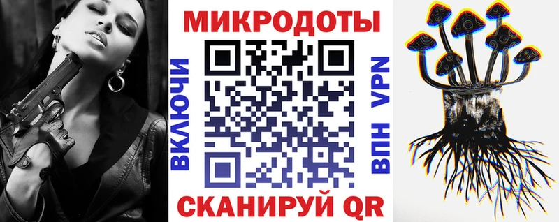 Псилоцибиновые грибы Psilocybine cubensis  Дмитриев 